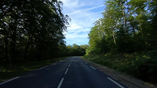 Scenic paved road winding through lush green forest in the Morvan region of France under a blue sky with light clouds. Peaceful summer landscape ideal for travel and nature concepts.