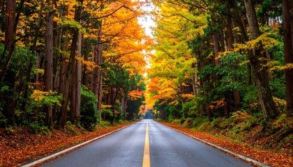 Obraz premium Road through vibrant autumn trees. Golden leaves line the sky