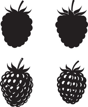 Four blackberry illustration in silhouette style