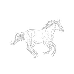 Obraz premium A wild black mustang stallion is depicted in a running horse vector illustration, showing a powerful silhouette of the equine animal galloping in a creative silhouette drawing isolated on white
