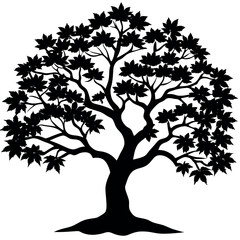 Obraz premium A blood good Japanese maple tree silhouette vector 