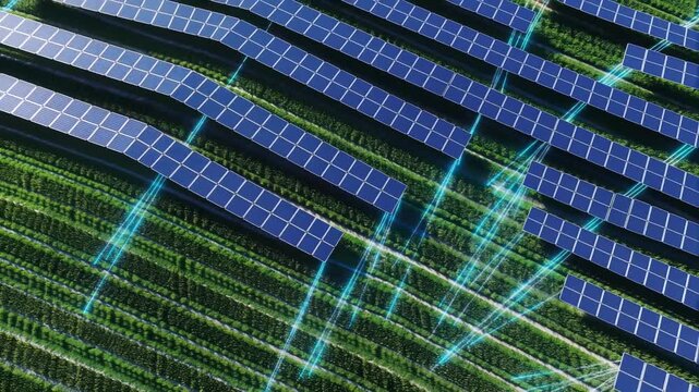 Aerial view of agrivoltaic farm with dark blue solar panels arranged in rows over green crops generating renewable energy sustainably
