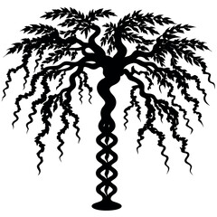 Obraz premium A corkscrew willow tree silhouette vector illustration.
