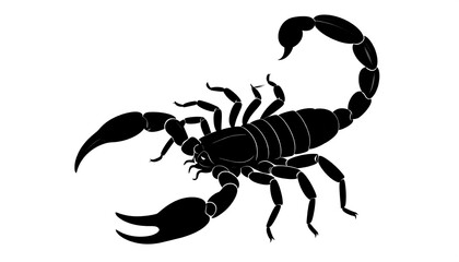 Silhouette of a scorpion with large pincers and a curved tail against a clean white backdrop