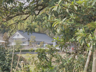 日本のお寺の風景