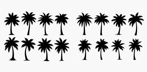 Set of black palm tree silhouettes on a transparent background, perfect for tropical designs and vacation themes. © Adji