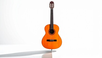 violin on white background