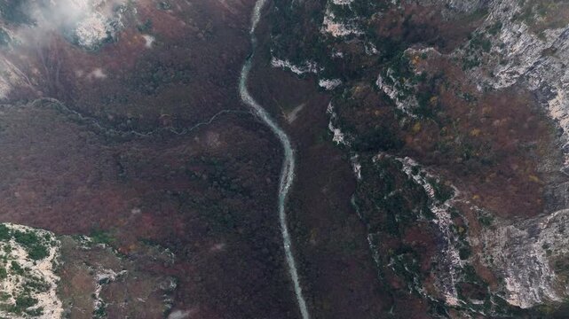 Top aerial view of Winding River Cutting Through Vikos Gorge Forest, Epirus, Greece, Wilderness Travel