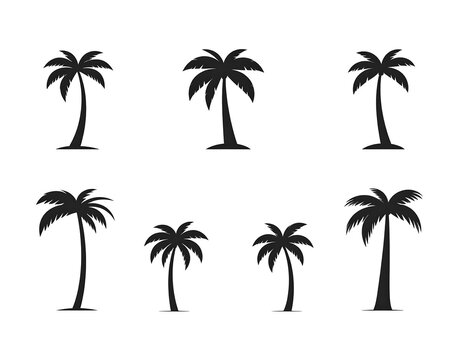 Set of eight stylized black palm tree silhouettes against a white backdrop, varying in design