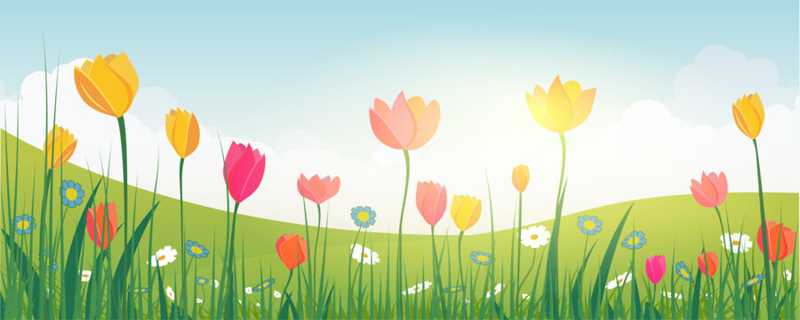 Spring landscape vector illustration with colorful tulips, wildflowers and green rolling hills under soft cloudy sky