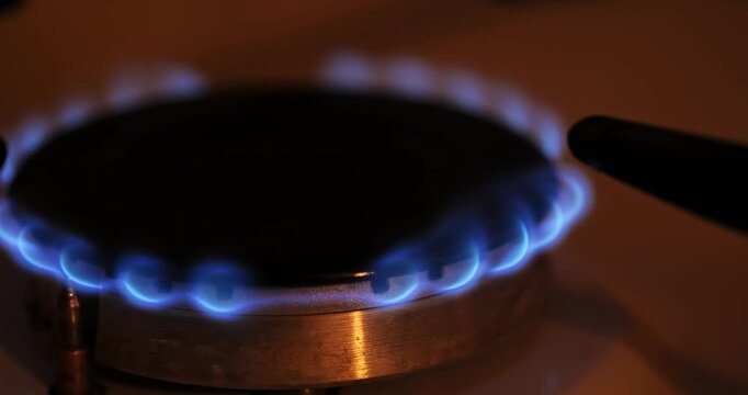 Blue flames dance around a gas stove burner as the flame intensifies, showcasing the gradual increase in heat and energy in a kitchen setting