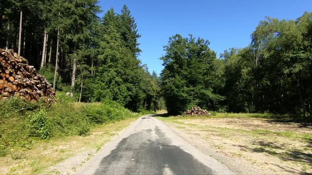 Sunny day on a winding rural road surrounded by lush green forest in the Morvan region of France. Tranquil natural landscape with clear blue sky and summer foliage.