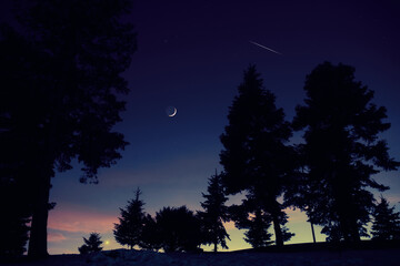 Fototapeta premium Morning old Moon with stars, planets and rural countryside tree silhouettes.