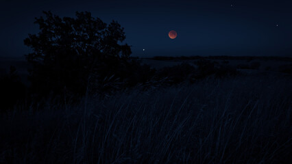 Blue hour time with lunar eclipse, stars and planets above landscape silhouettes. © astrosystem