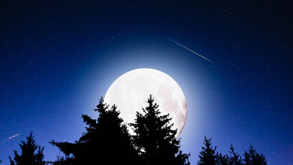 Blue hour time with lunar eclipse, stars and planets above landscape silhouettes. © astrosystem