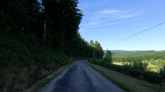 Curving rural road bordered by lush forest and rolling hills under a clear blue sky in the Morvan region of France. Peaceful countryside landscape ideal for travel and nature concepts.