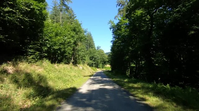 Quiet country road winding through lush green forest under a clear blue sky in the Morvan region of France. Peaceful summer landscape ideal for travel and nature concepts.