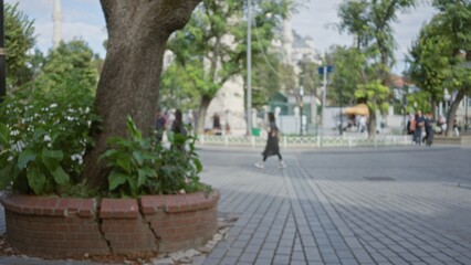 Obraz premium Blurred urban plaza scene with tree and cracked brick planter in shallow bokeh plaza; background backdrop copyspace backplate.