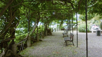 Wisteria covered pergola walkway with twisted vines, benches and gravel path seen in shallow bokeh, soft blurred and defocused park background; background backdrop copyspace calm.