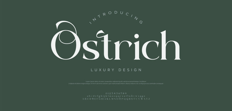 Elegant font, vintage type or luxury premium typeface, vector English royal alphabet. Classic typography in modern or old art deco style, serif letters for modern or retro poster font 
