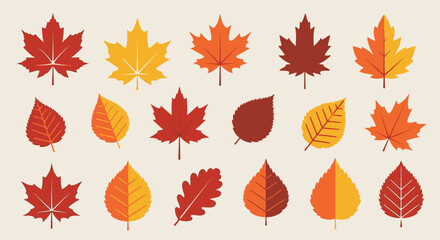 Autumn leaf collection vector illustration of various leaf shapes and colors