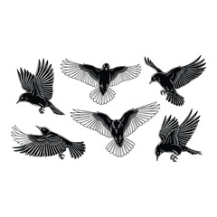 Obraz premium Group of black birds flying in different directions isolated on white background