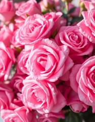 Fototapeta premium A beautiful bouquet of blooming pink roses creates a romantic floral background perfect for a wedding gift or Valentine's Day blossom