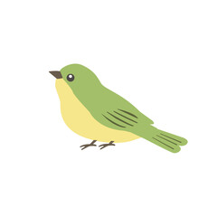 ウグイスのイラスト　春素材　鶯