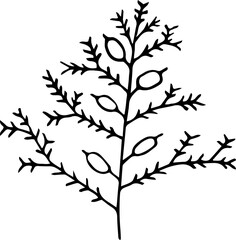 Hand drawing floral element design