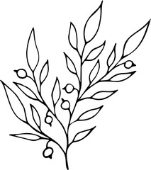 Hand drawing floral element design