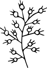 Hand drawing floral element design