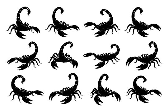Scorpion animal black silhouette set