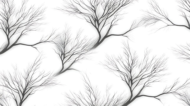 A black and white image of trees with a white background