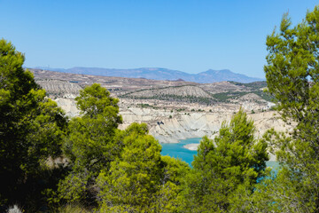 Fototapeta premium Algeciras reservoir framed by pine trees in Murcia Spain