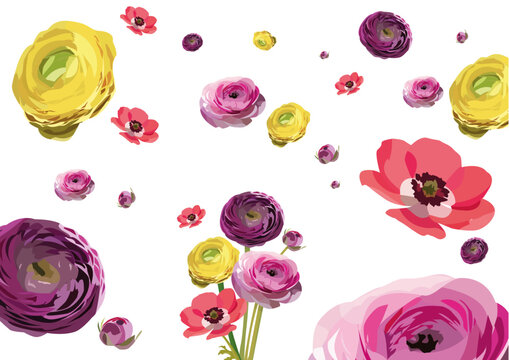 ranuncoli e anemoni svolazzanti