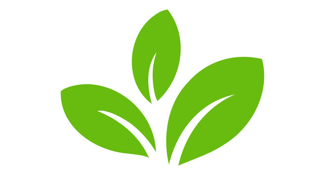 Elegant leaf logo or symbol design