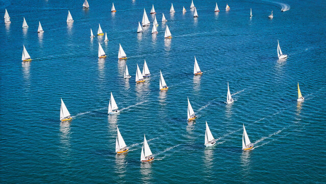 Aerial view of numerous sailboats gliding across the shimmering turquoise waters, their white sails contrasting against the deep blue, Carantec, Brittany, France.