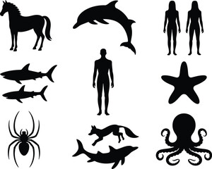 Obraz premium Animal and human silhouette icons set, Horse, Dolphin, Shark, Starfish and Octopus.