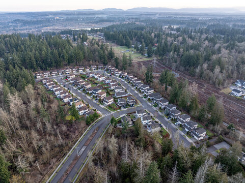 Aerial view of neat rows of houses nestled among the dense evergreens, a tapestry of urban life woven into the heart of nature, Lake Tapps, Washington, United States.