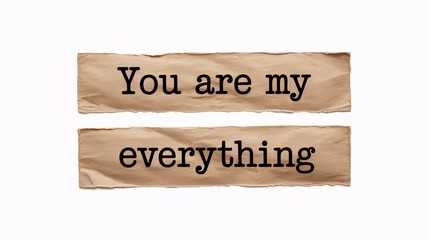 Romantic love message on torn paper strips with text you are my everything on white background