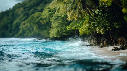 Tropical shore waves