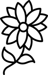 Chrysanthemum Flower line Icon, Chrysanthemum Floral Vector Logo, Chrysanthemum Blossom Symbol