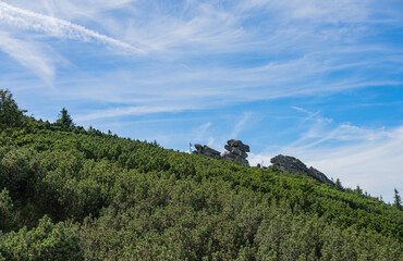Obraz premium Sudetes, Giant Mountains, Śnieżne Kotły, Schneegruben, Karkonosze, Sudety, Sudetes, Karkonosze, Sudety, Karkonosze, Szrenica, Dolny Slask