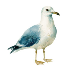 Obraz premium Vintage Watercolor Illustration of Garden Bird Isolated on White Background