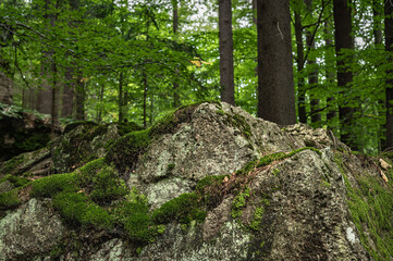 Fototapeta premium Sudetes, Giant Mountains, Śnieżne Kotły, Schneegruben, Karkonosze, Sudety, Sudetes, Karkonosze, Sudety, Karkonosze, Szrenica, Dolny Slask