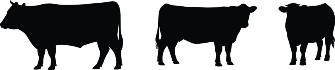 Cow silhouettes, farm animal illustration, livestock poses, cattle shapes, rural agriculture design, black silhouettes, white background, educational animal art © Taibur