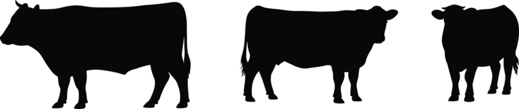 Cow silhouettes, farm animal illustration, livestock poses, cattle shapes, rural agriculture design, black silhouettes, white background, educational animal art