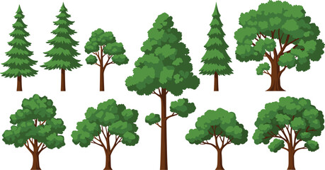 Big green forest trees vector set flat style isolated on white © Md