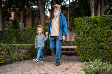 Fototapeta premium A grandfather and his grandchild walking hand in hand through a garden with neatly trimmed hedges and trees in the background