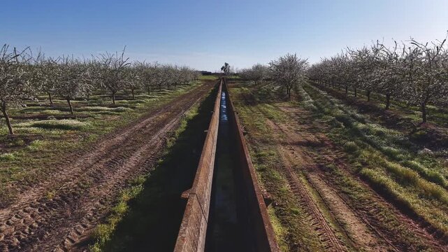 Regad&iacute;o sin l&iacute;mites en sequ&iacute;a xe frutales en flor 